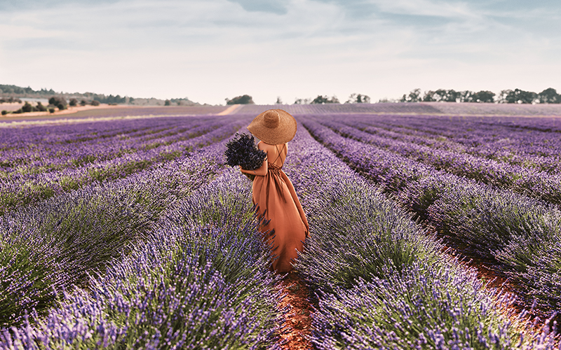 Spa-LOCCITANE-pole-of-Provence
