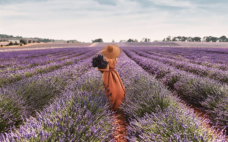 Spa L’OCCITANE: Relax a wellness rituály s esenciami Provence