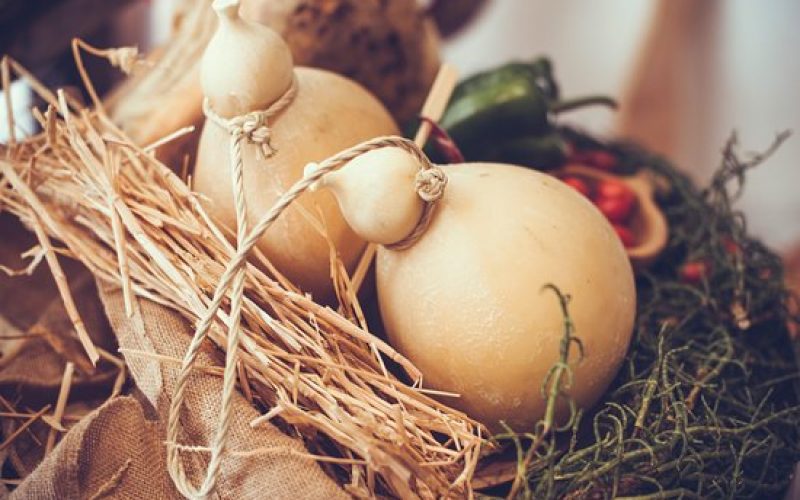 caciocavallo-podolico